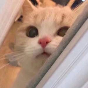 宁荣荣张开双腿被强❌游戏
